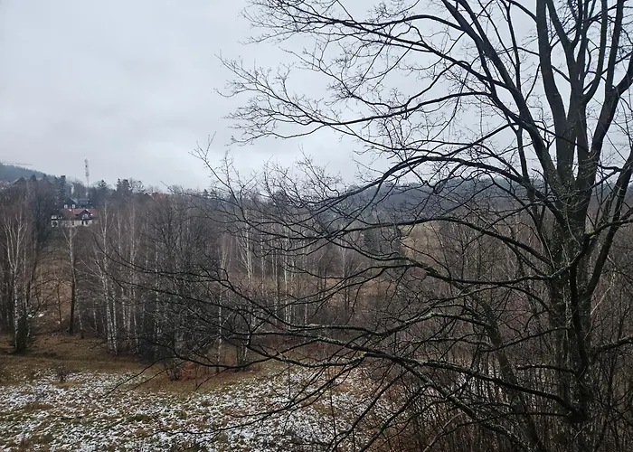 Lesna Hania Apartment